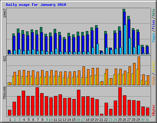 Daily usage for January 2010