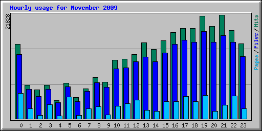 Hourly usage for November 2009
