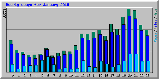 Hourly usage for January 2010