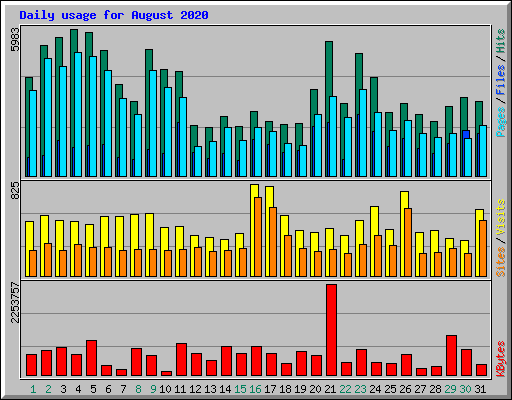 Daily usage for August 2020