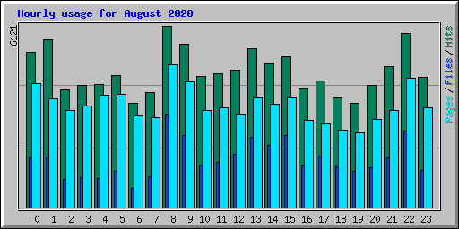 Hourly usage for August 2020