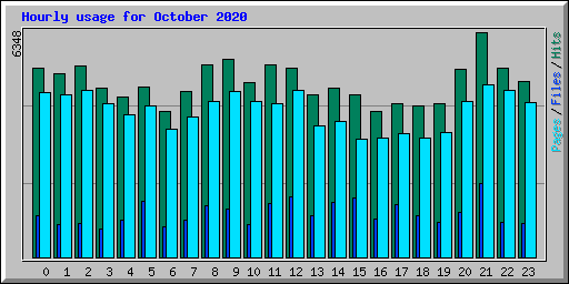 Hourly usage for October 2020