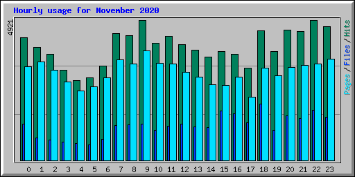 Hourly usage for November 2020