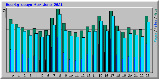 Hourly usage for June 2021