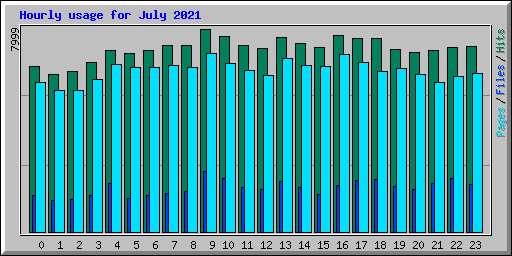 Hourly usage for July 2021