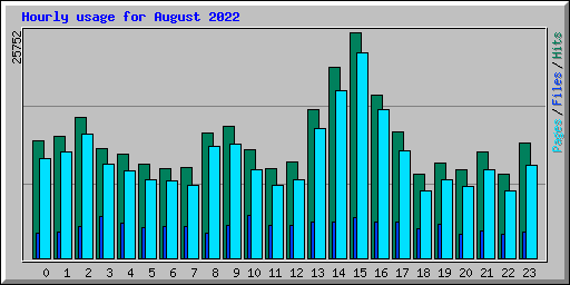 Hourly usage for August 2022