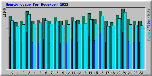 Hourly usage for November 2022