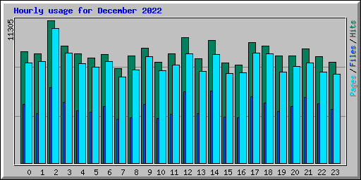 Hourly usage for December 2022