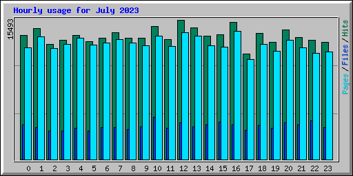Hourly usage for July 2023