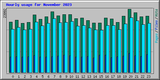 Hourly usage for November 2023