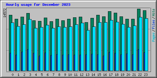 Hourly usage for December 2023
