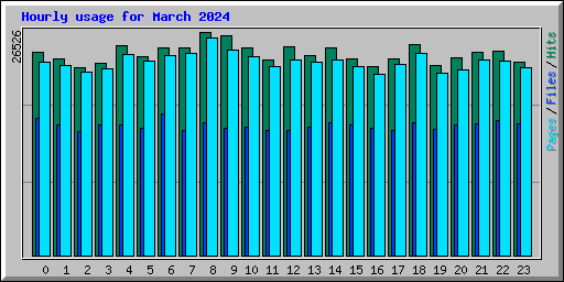 Hourly usage for March 2024