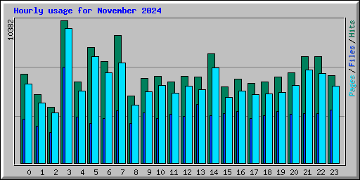 Hourly usage for November 2024