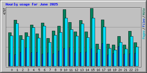 Hourly usage for June 2025