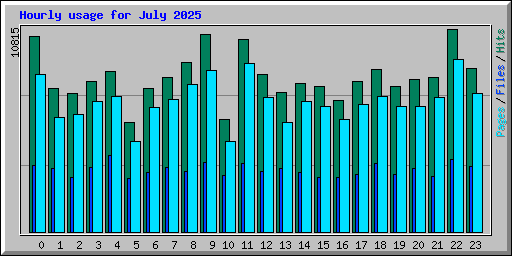 Hourly usage for July 2025