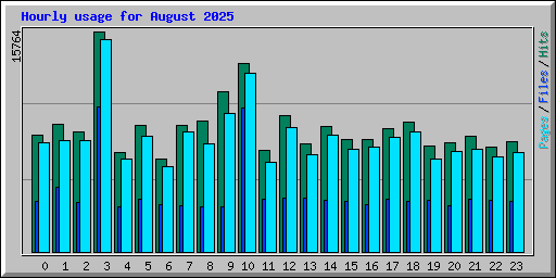 Hourly usage for August 2025