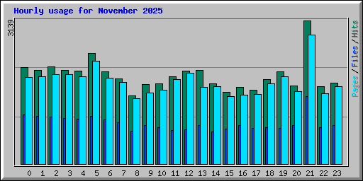 Hourly usage for November 2025