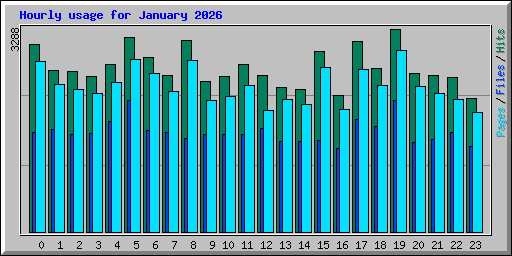 Hourly usage for January 2026