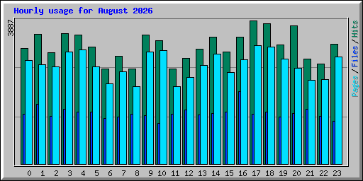 Hourly usage for August 2026